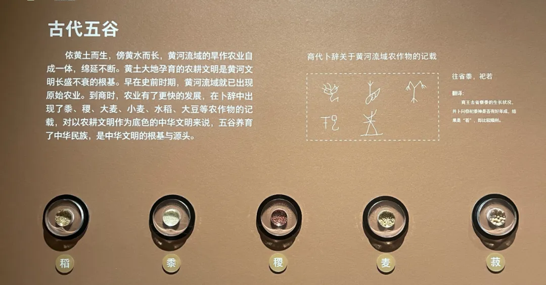 2b7fcecb4df5898f0a8cfbd60c220f7a.jpg